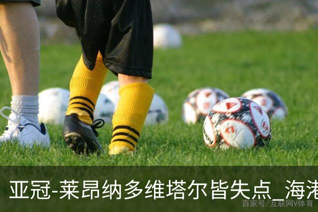 亚冠-莱昂纳多维塔尔皆失点 海港爆冷2-3河内公安遭首败