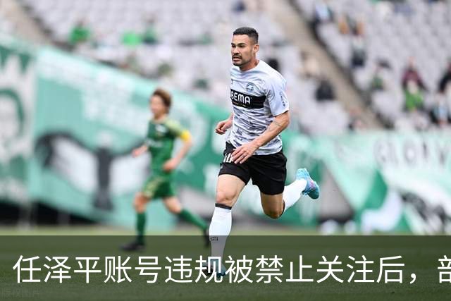 任泽平账号违规被禁止关注后，部分股民集体欢呼：A股终于要踏实涨了