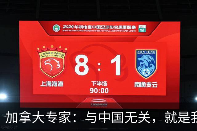 加拿大专家：与中国无关，就是我们干的