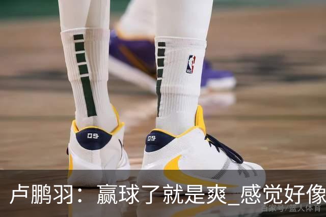 卢鹏羽：赢球了就是爽 感觉好像憋了一口气上不来 终于上来了