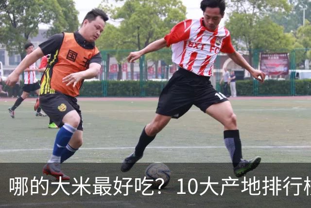 哪的大米最好吃？10大产地排行榜：五常第1，但“最健康”的答案不在产地，在米袋上