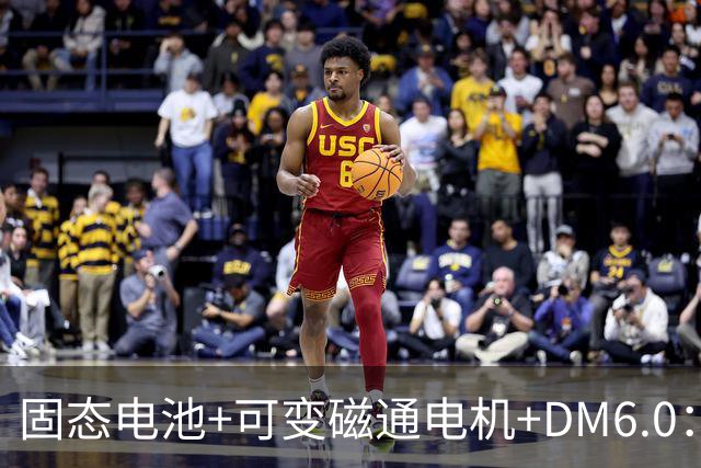 固态电池+可变磁通电机+DM6.0：比亚迪最狠的技术，方程豹先用