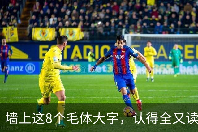 墙上这8个毛体大字，认得全又读得透的，这份功力我由衷佩服！