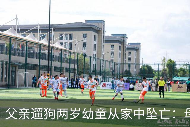 父亲遛狗两岁幼童从家中坠亡：母亲报案“过失致人死亡”未获立案，称将申请立案监督