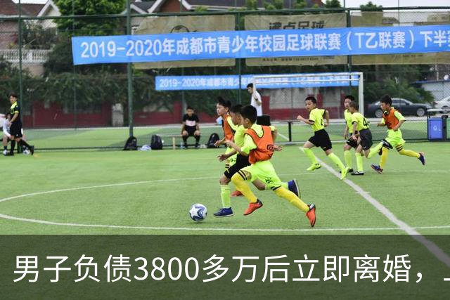 男子负债3800多万后立即离婚，上海两处房产、一辆汽车全归妻子，遭强制执行时他名下已无可执行财产，法院：撤销离婚财产分割约定