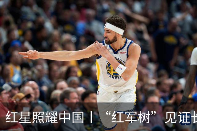 红星照耀中国丨“红军树”见证长征路