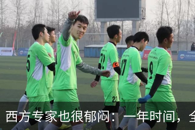 西方专家也很郁闷：一年时间，全世界已经开始看不懂中国了！