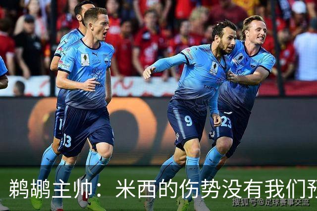 鹈鹕主帅：米西的伤势没有我们预想的那么严重