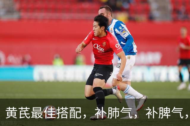 黄芪最佳搭配，补肺气，补脾气，补肾气，关键还不上火